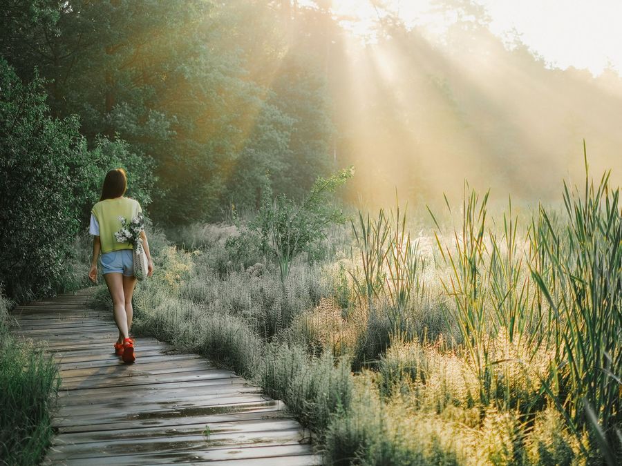 A person walking on a wooden path through a sunlit meadow